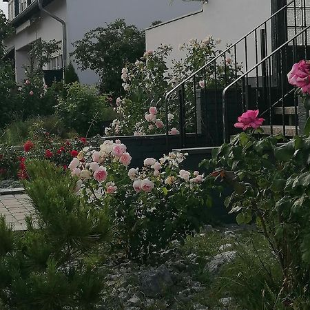 Ferienhaus Auf der Höhe Kirchhain Exterior foto